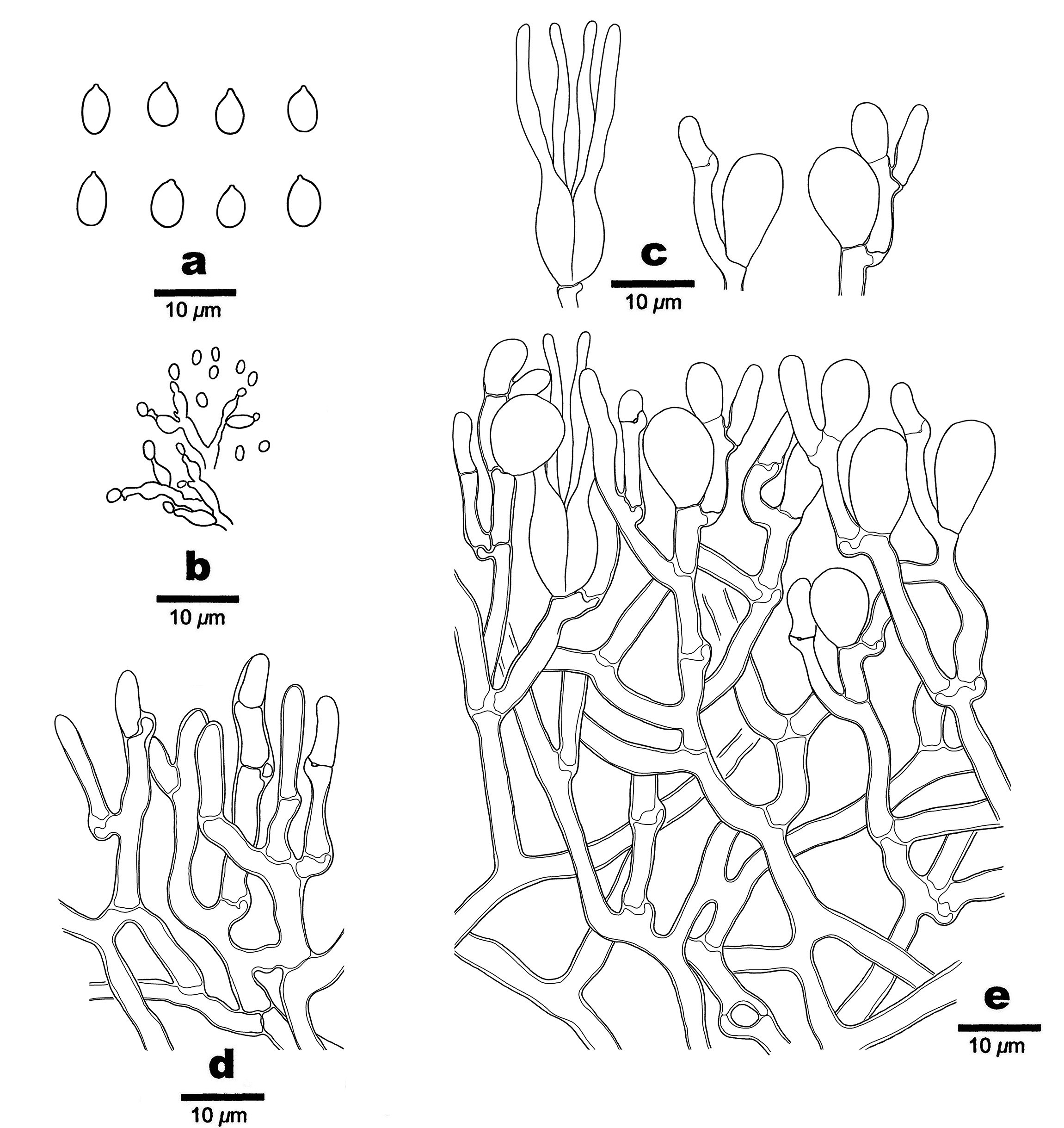 Figure 71